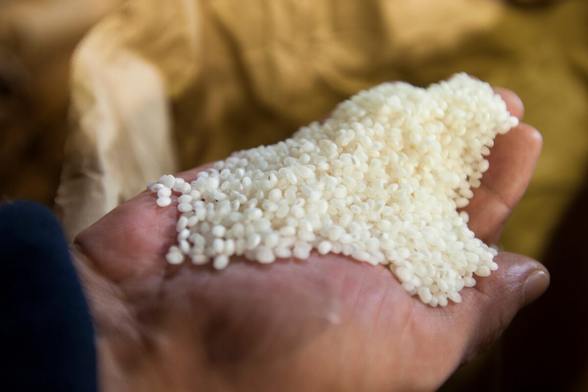 築地日光日本酒