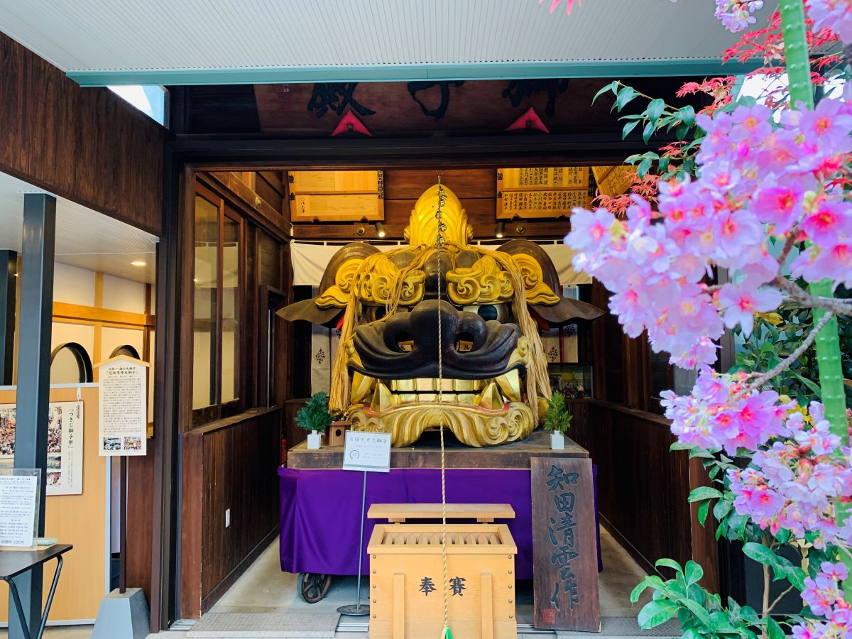 築地波除神社の巨大な天井大獅子と満開の桜。江戸時代から続く厄除けの神社で楽しむお花見。